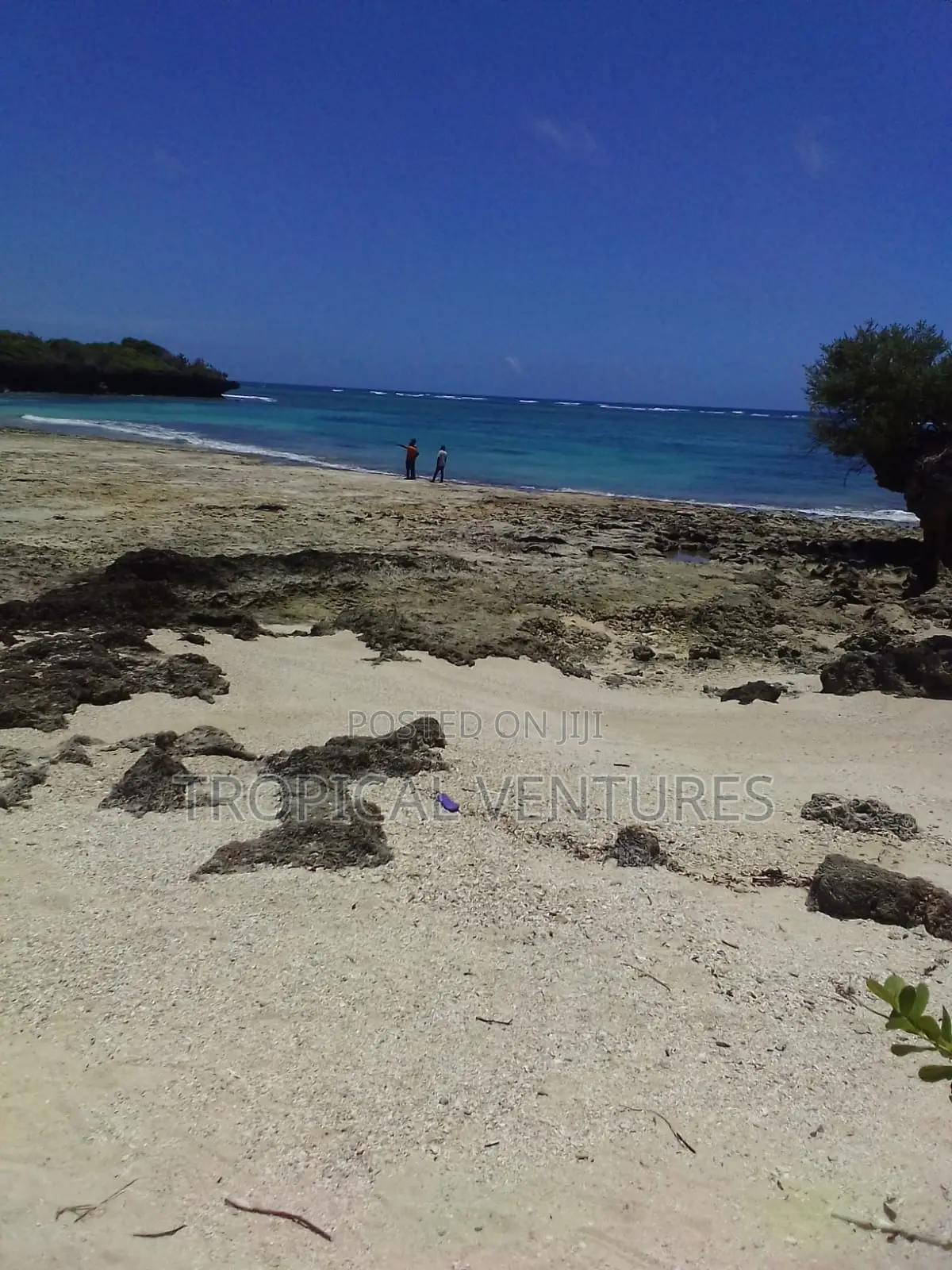 Beach Plot for Sale in Diani