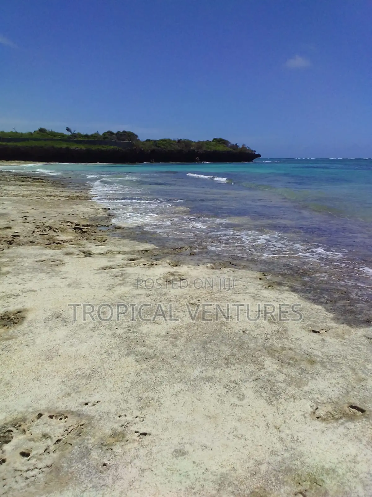 Beach Plot for Sale in Diani