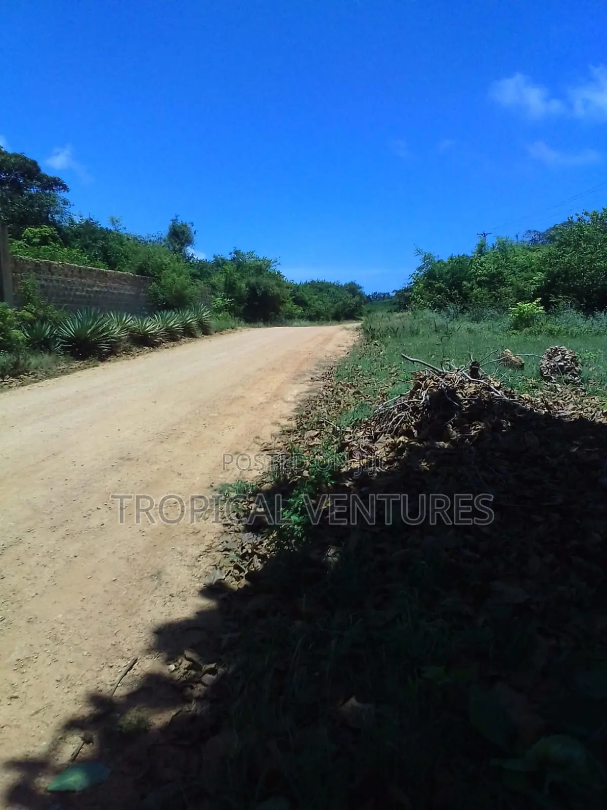 Beach Plot for Sale in Diani