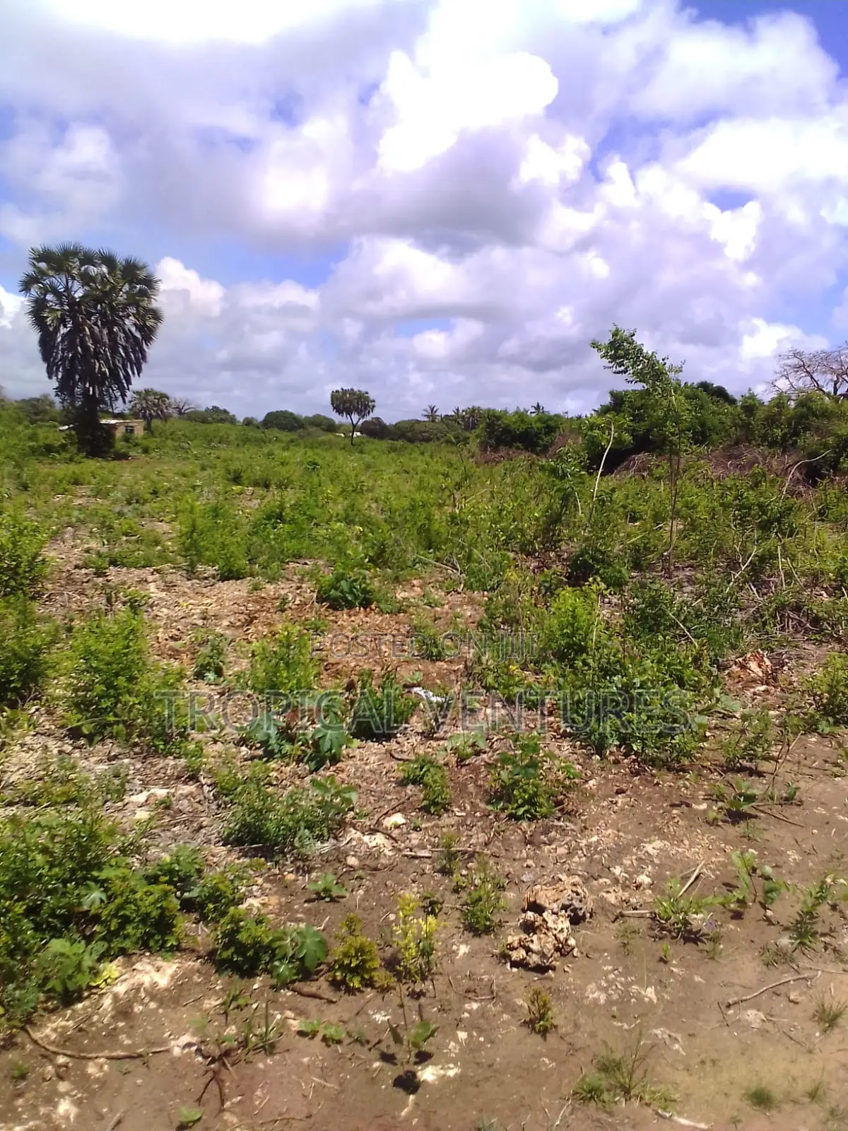Beach Land for Sale Diani. in Diani