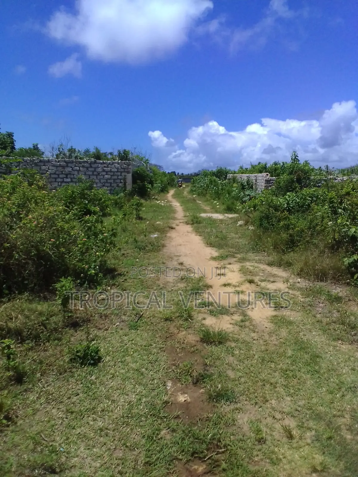Beach Land for Sale Diani. in Diani