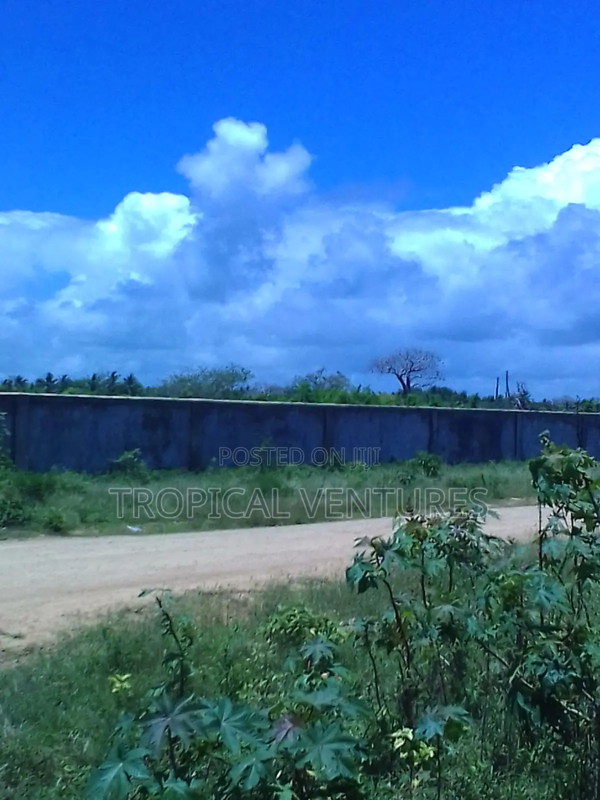 Beach Land for Sale Diani. in Diani