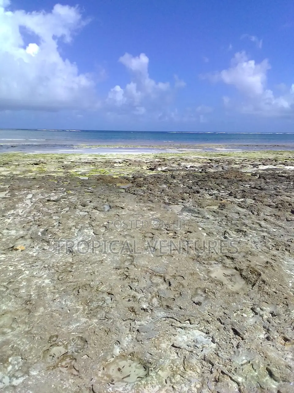 Beafront Plots for Sale. in Diani
