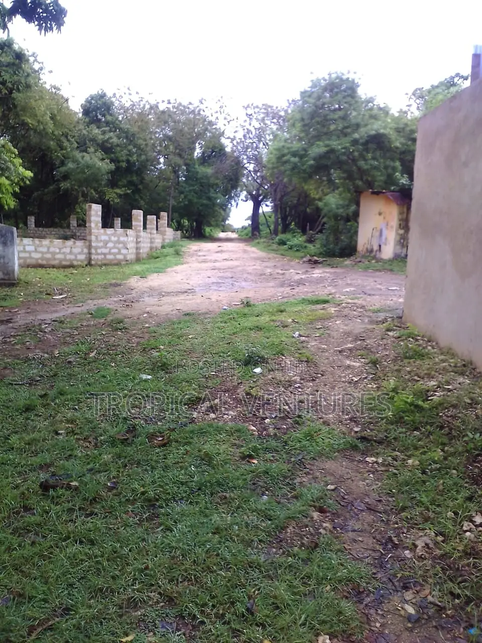 Beafront Plots for Sale. in Diani