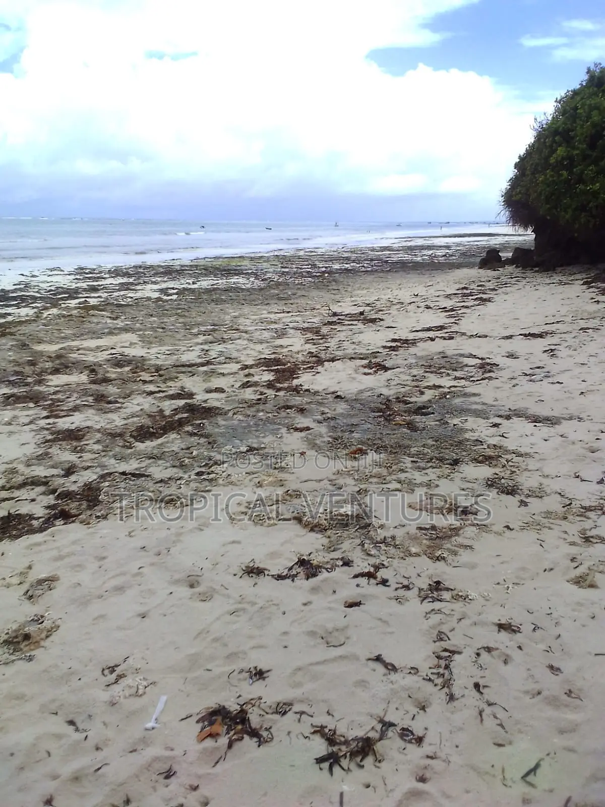 Beafront Plots for Sale. in Diani
