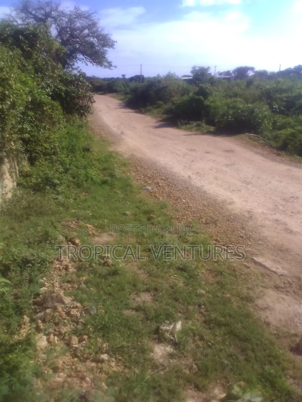 Beafront Plots for Sale. in Diani