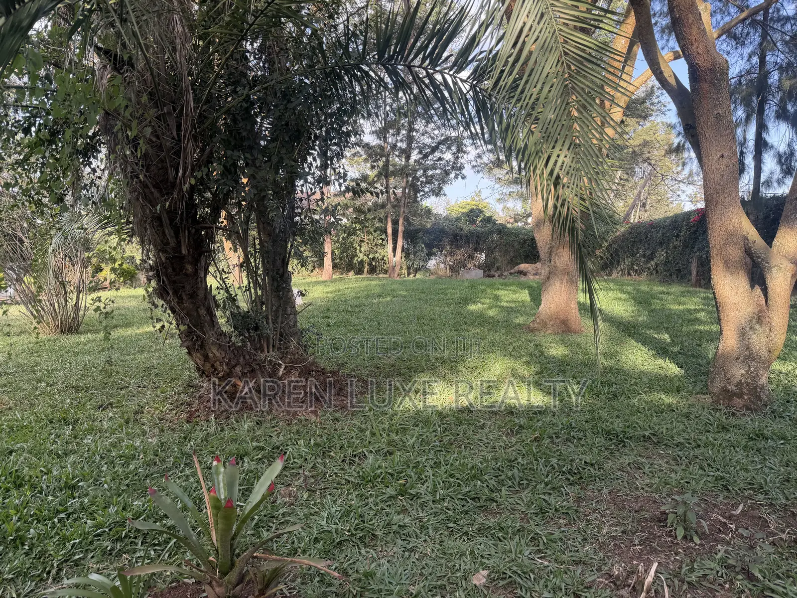 3bdrm Bungalow in Karen for rent in Karen