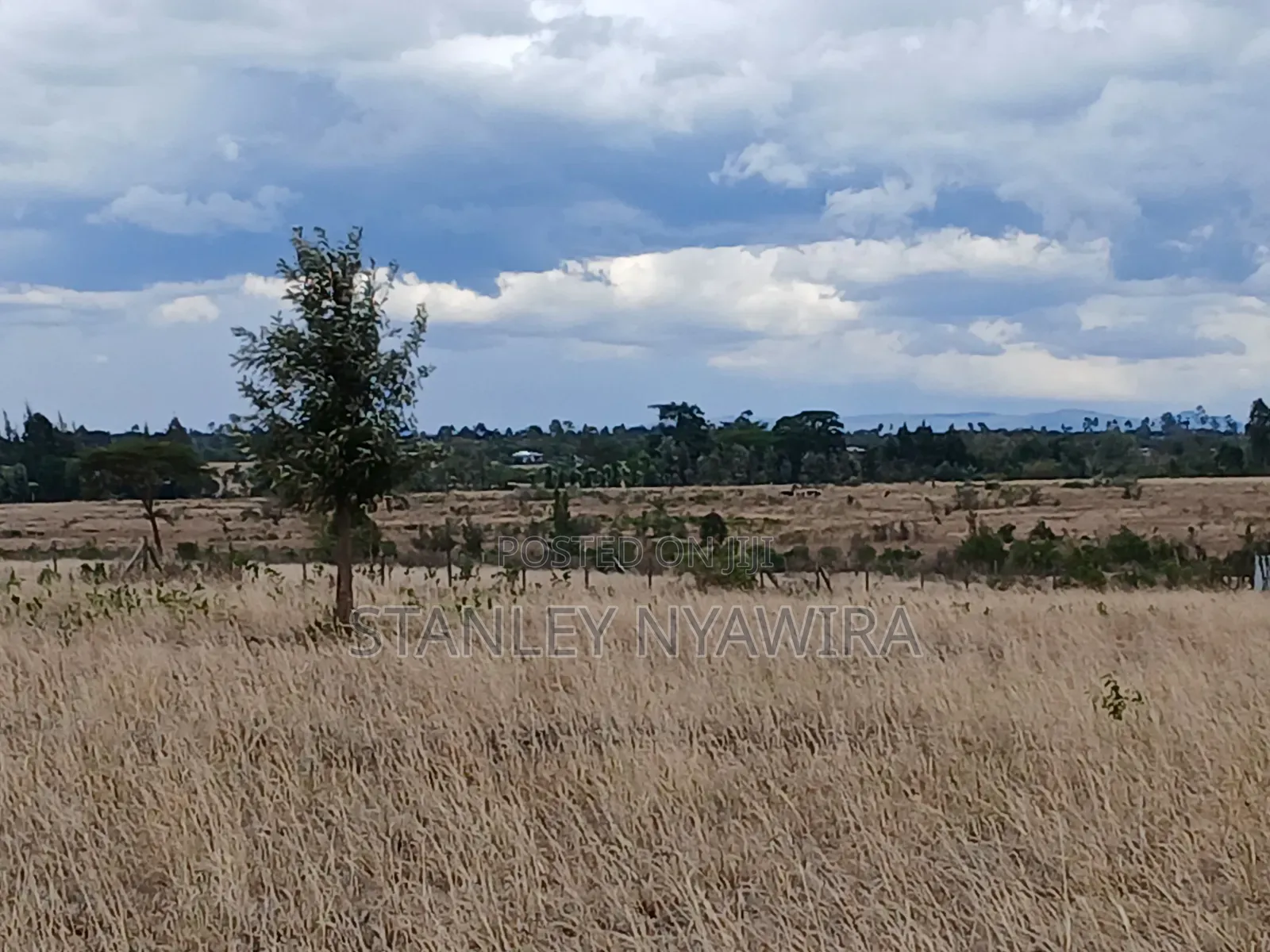 7 Acreas Nanyuki Matanya in Nanyuki
