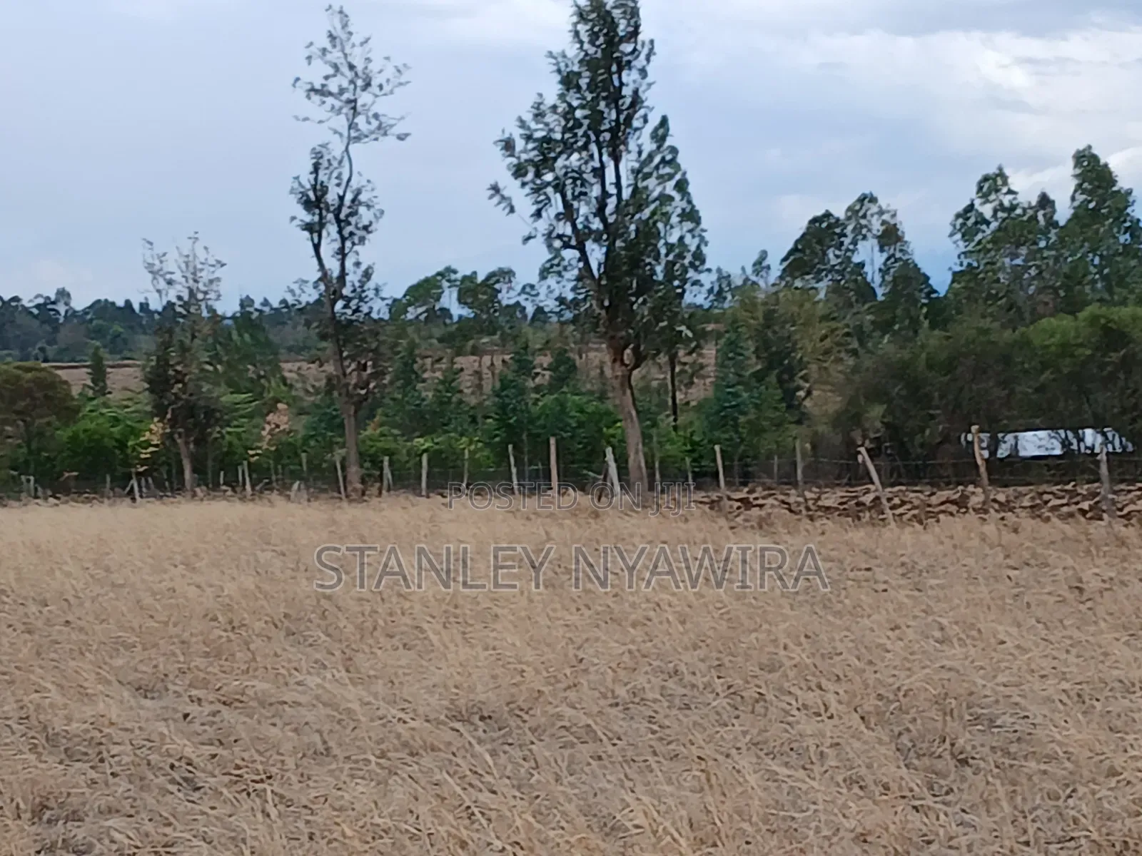 7 Acreas Nanyuki Matanya in Nanyuki