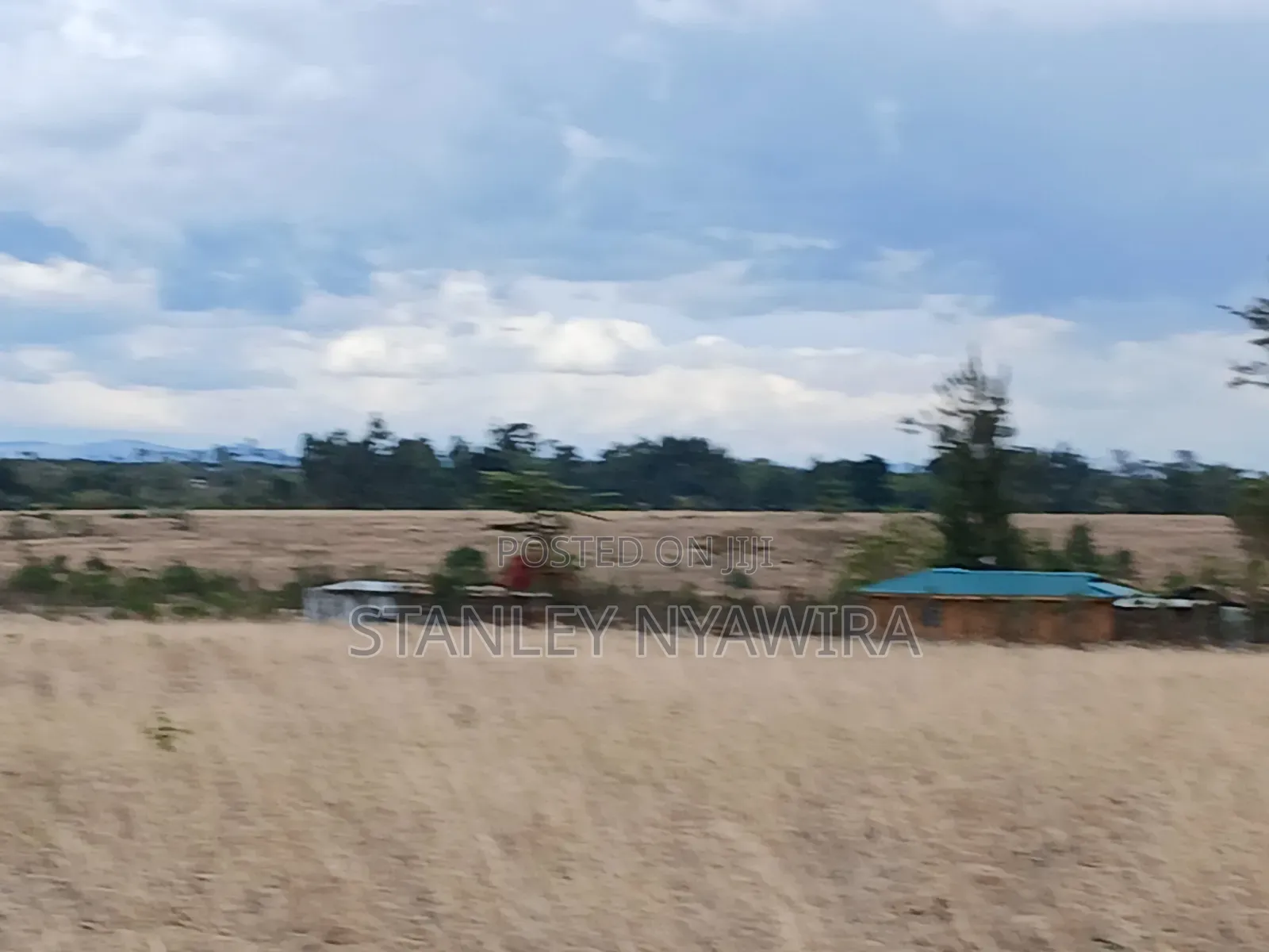 7 Acreas Nanyuki Matanya in Nanyuki