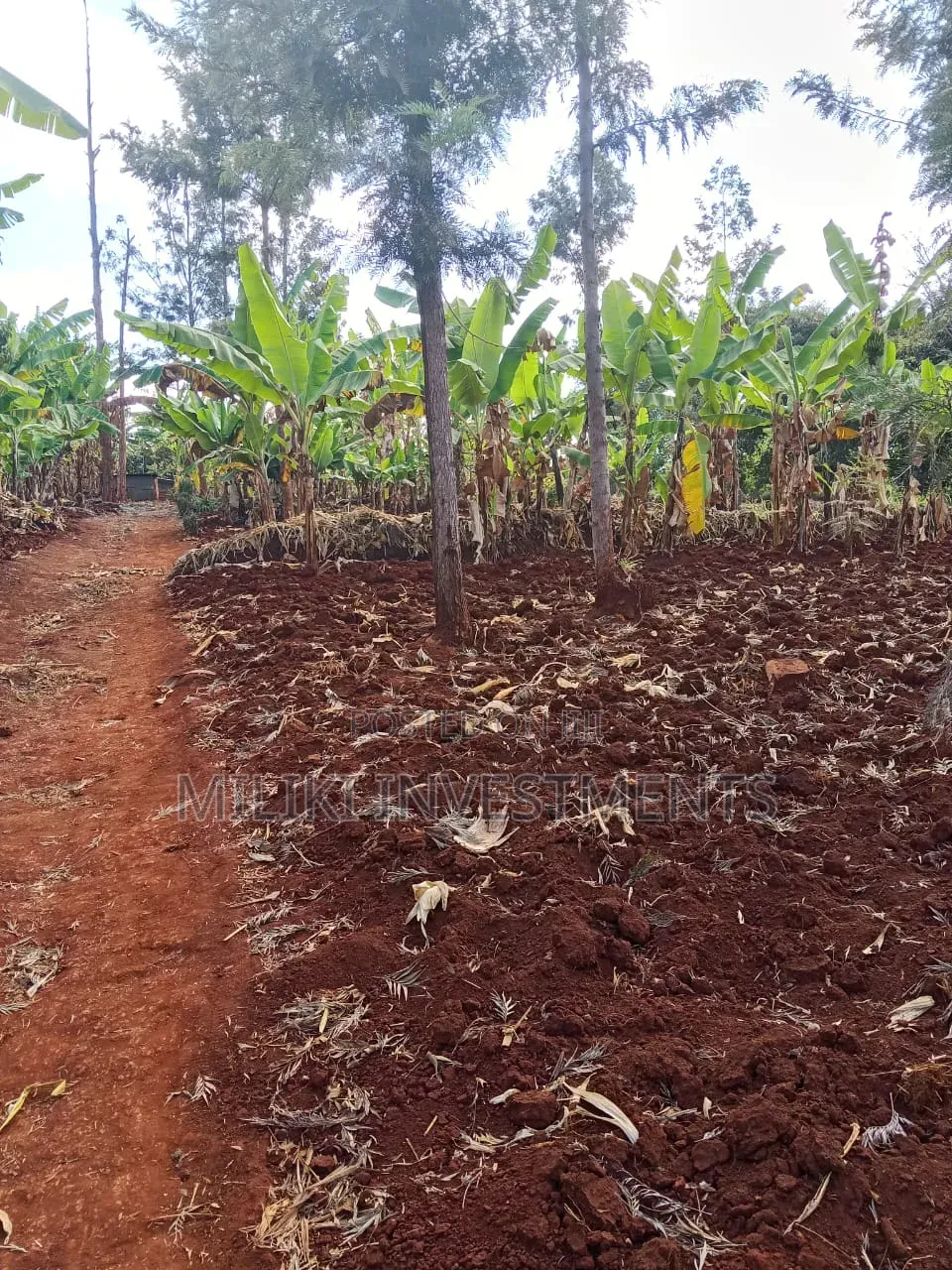 Quarter an Acre on Sale AT SABASABA -Kamahuha-Igikiro in Kamahuha