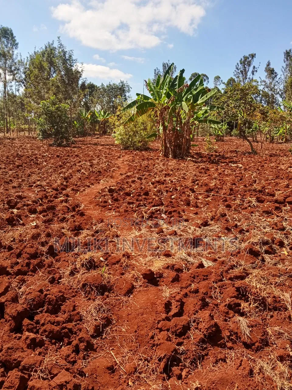 Quarter an Acre on Sale AT SABASABA -Kamahuha-Igikiro in Kamahuha