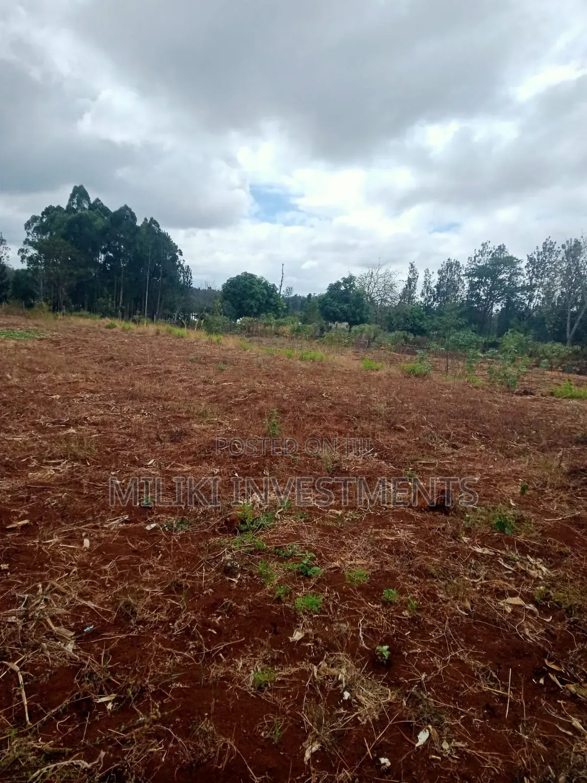 1.25 Acres on Sale at Kenol-Kimorori in Ngoliba