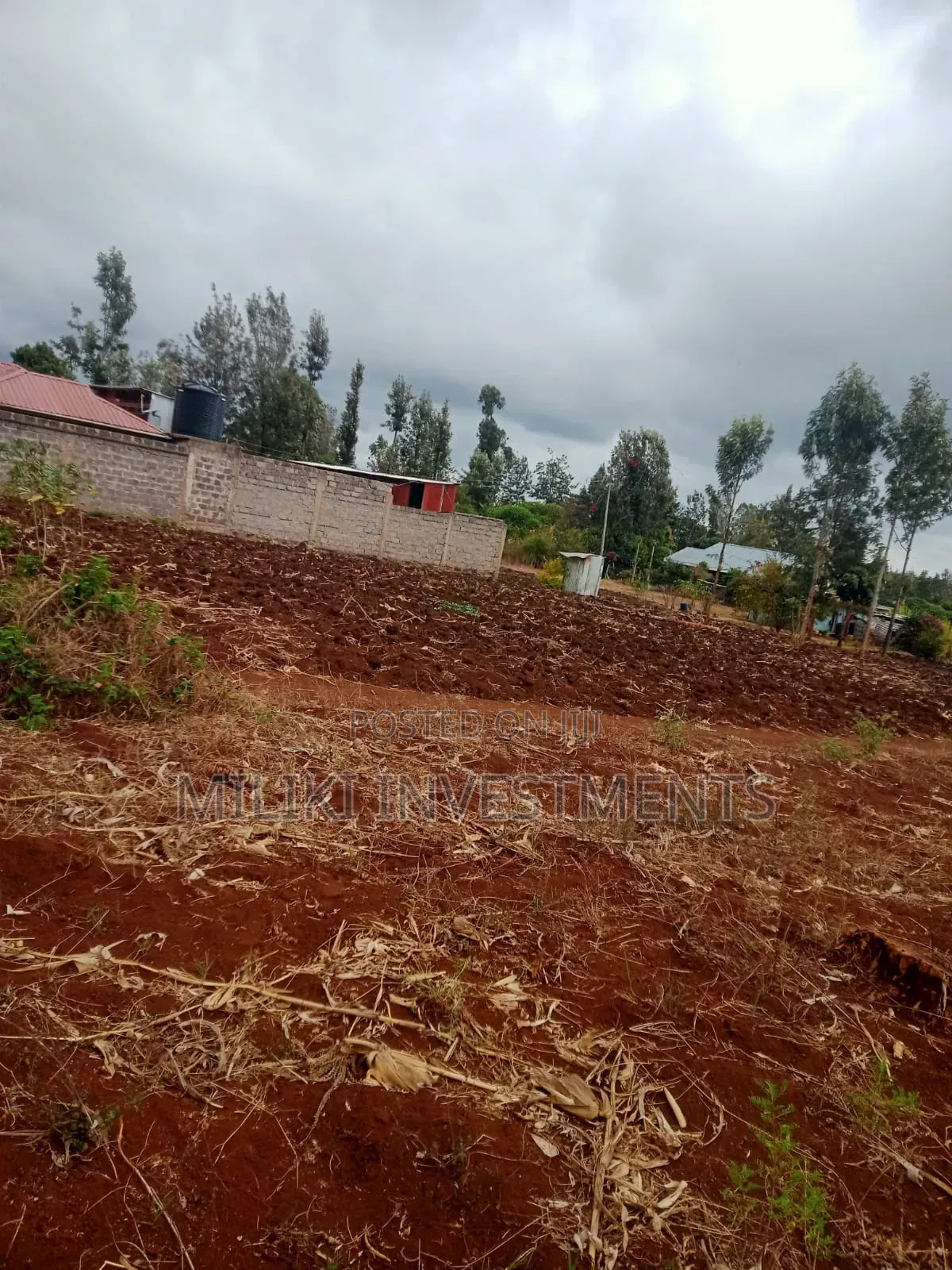 1.25 Acres on Sale at Kenol-Kimorori in Ngoliba
