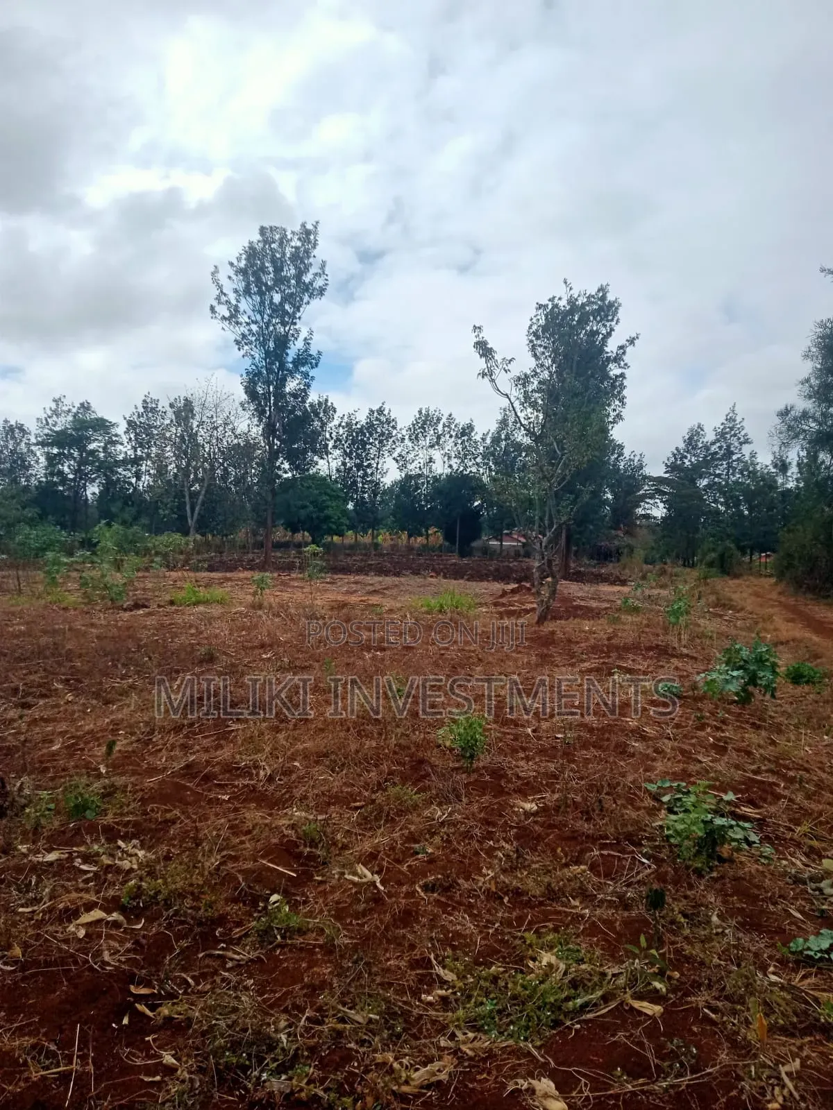 1.25 Acres on Sale at Kenol-Kimorori in Ngoliba