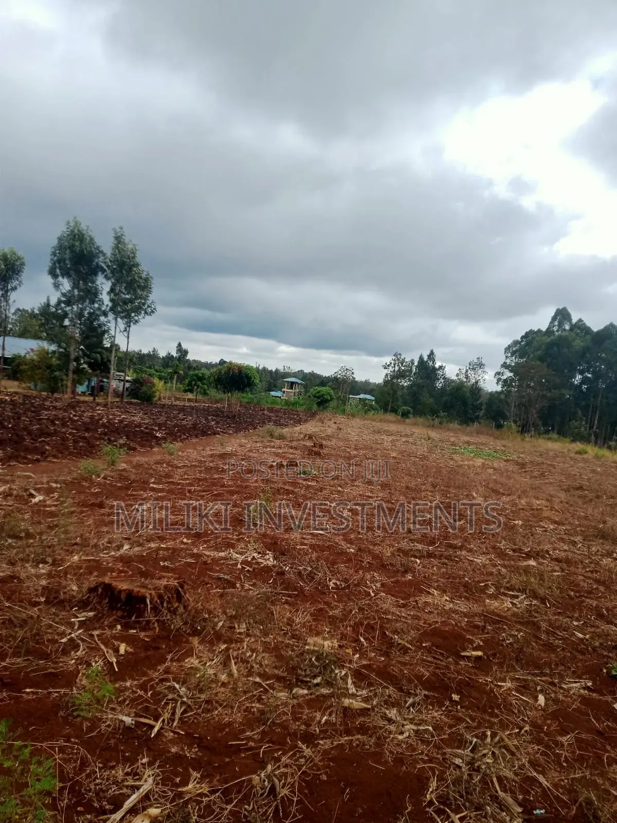 1.25 Acres on Sale at Kenol-Kimorori in Ngoliba