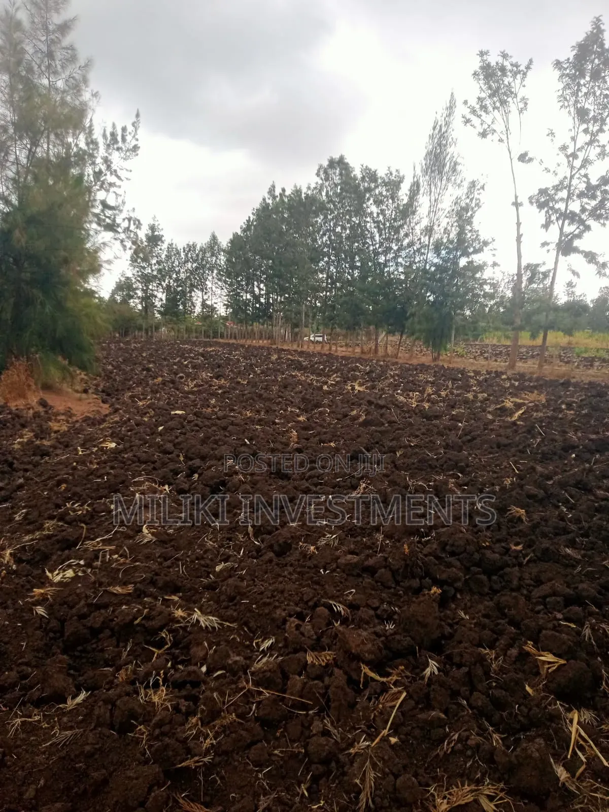 1.25 Acres on Sale at Kenol-Kamiigua in Kimorori/Wempa
