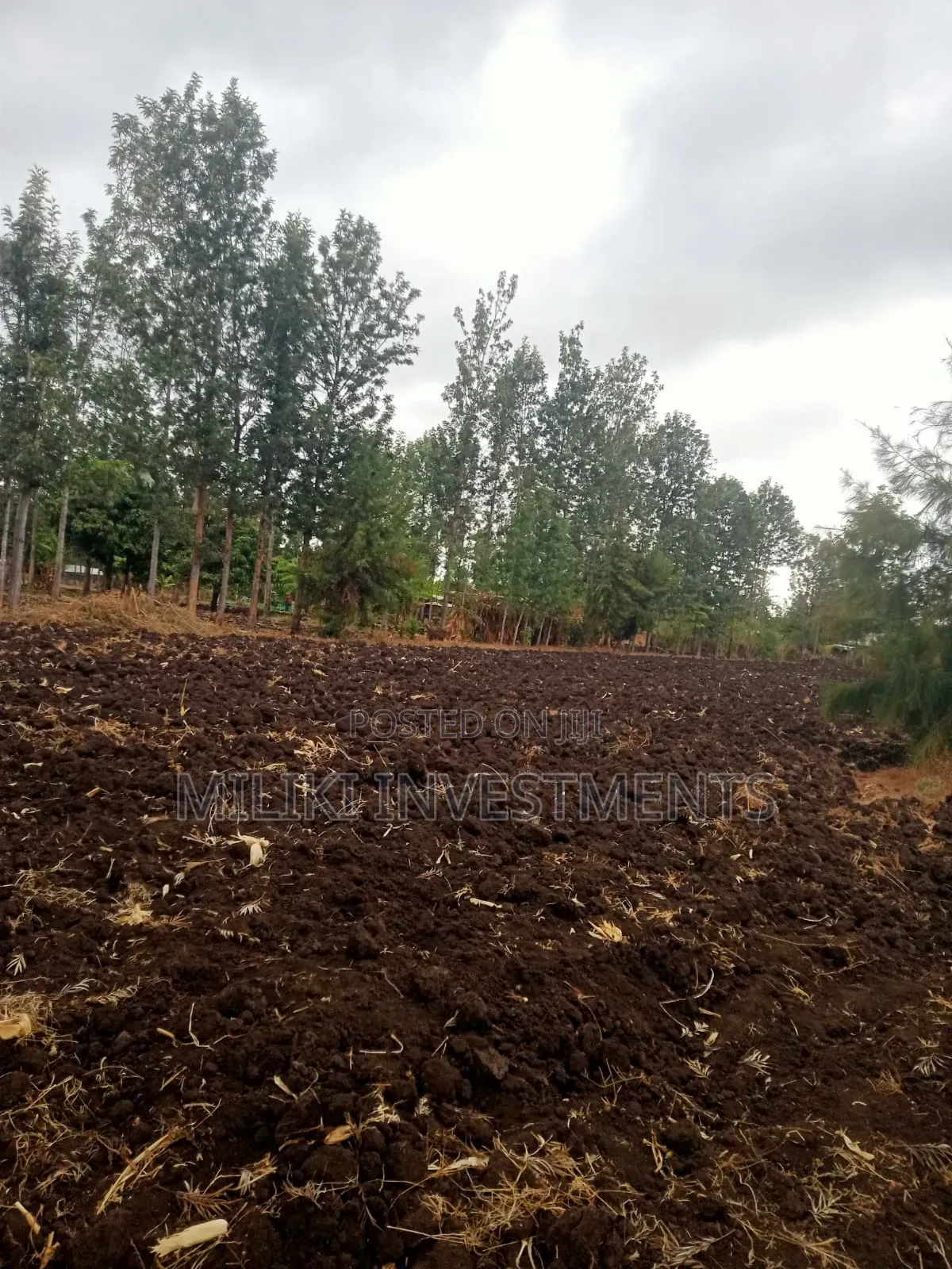 1.25 Acres on Sale at Kenol-Kamiigua in Kimorori/Wempa