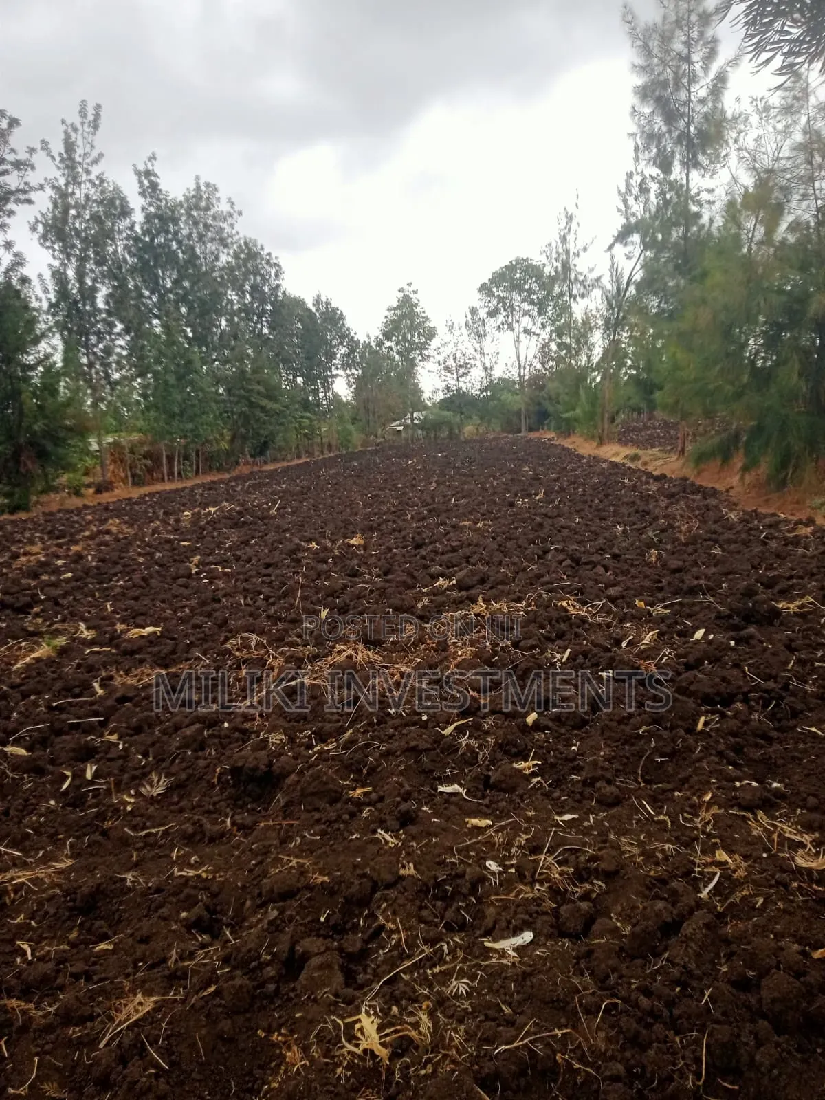 1.25 Acres on Sale at Kenol-Kamiigua in Kimorori/Wempa