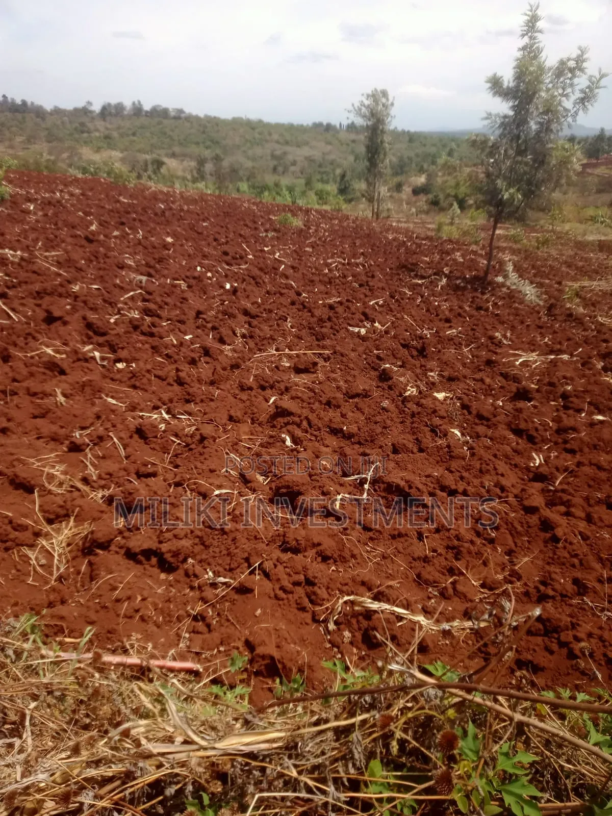 60 by 100 Ft Plot on Sale at Kenol -Kagaa in Kimorori/Wempa