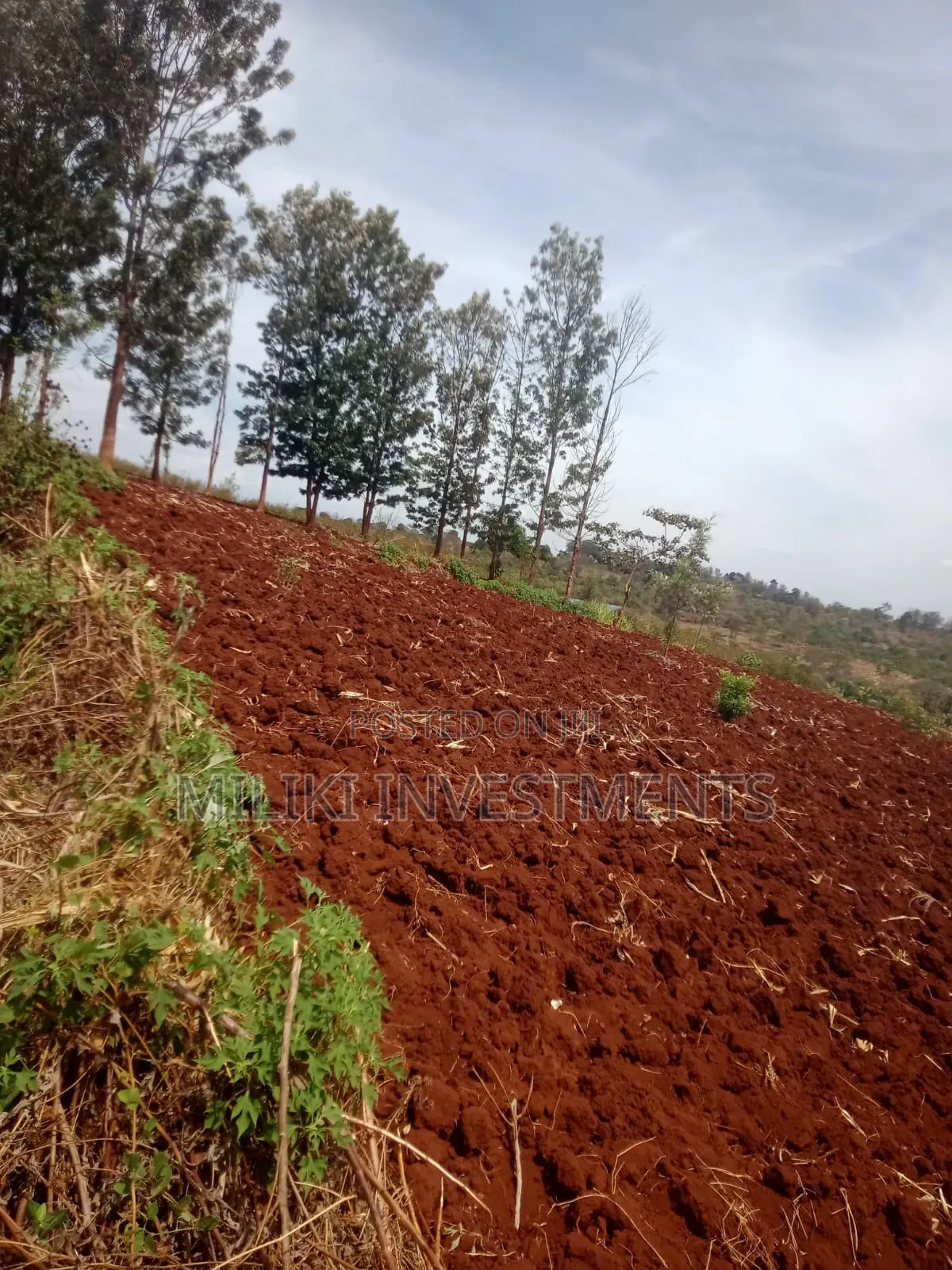 60 by 100 Ft Plot on Sale at Kenol -Kagaa in Kimorori/Wempa