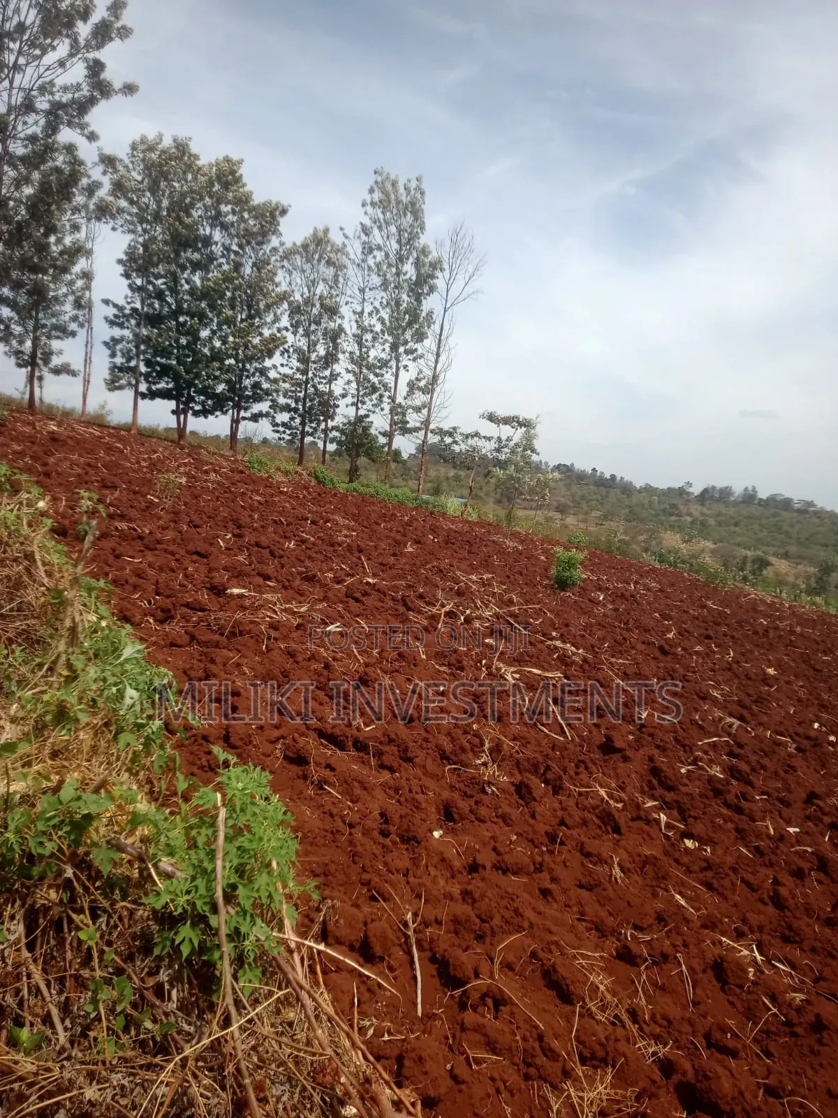 60 by 100 Ft Plot on Sale at Kenol -Kagaa in Kimorori/Wempa