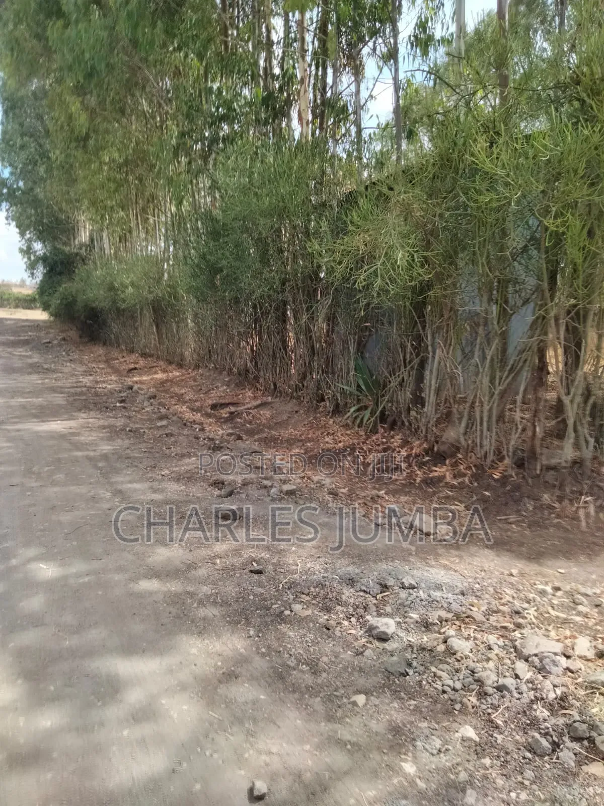 Ruai Plot in Green Spring Estate in Ruai