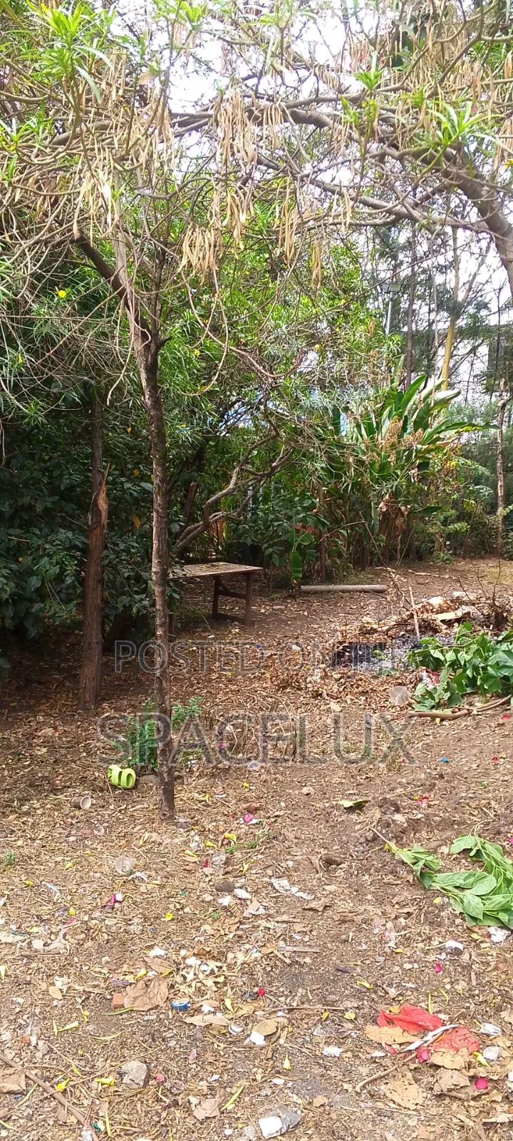 Quiet Office Space Kilimani in Hurlingham