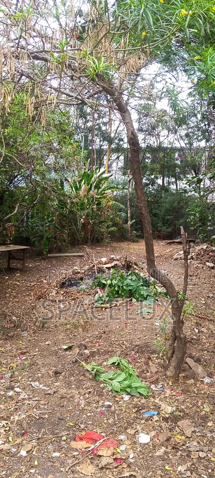 Quiet Office Space Kilimani in Hurlingham
