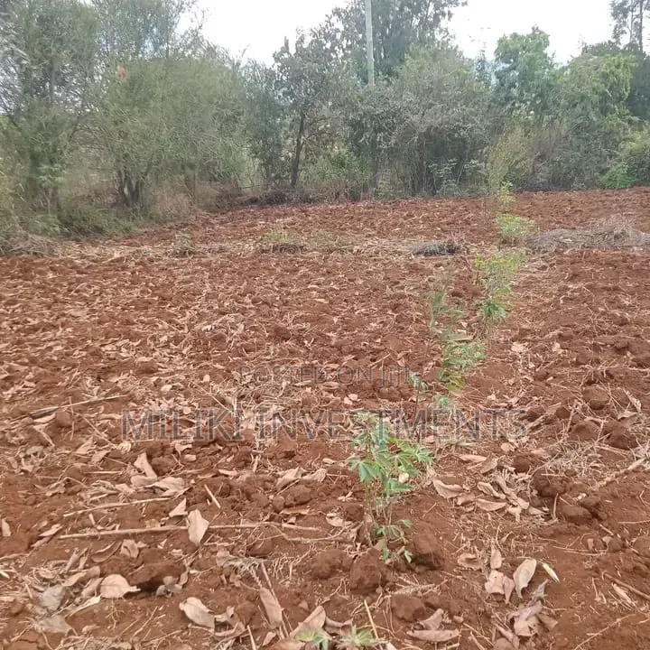 1 Acre on Sale at Maguguni- Thika GARISSA Road in Ngoliba