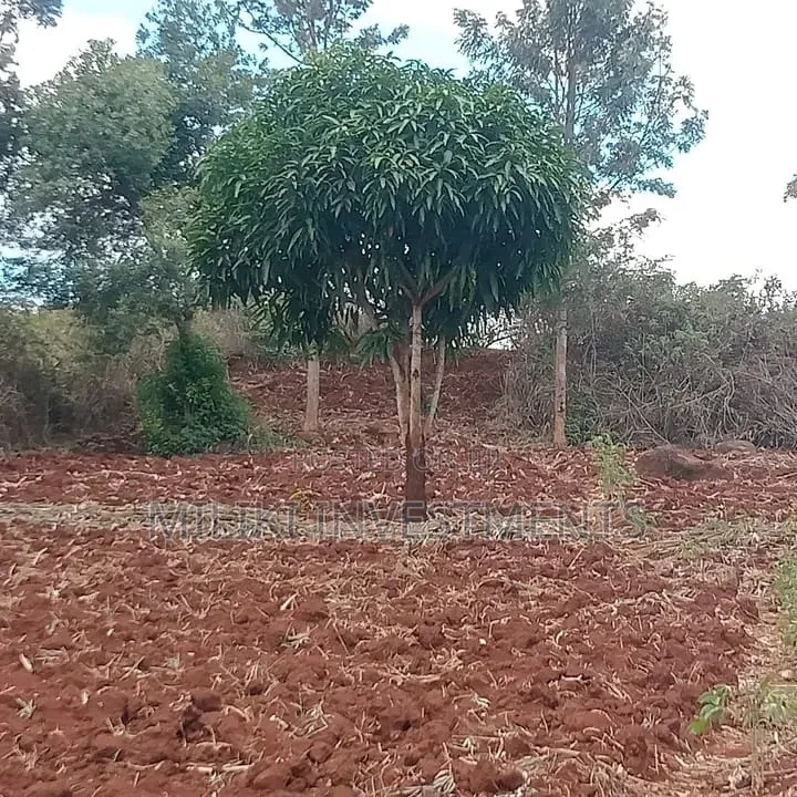 1 Acre on Sale at Maguguni- Thika GARISSA Road in Ngoliba