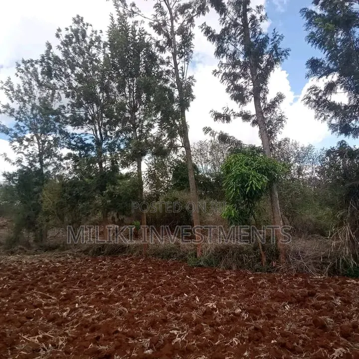 1 Acre on Sale at Maguguni- Thika GARISSA Road in Ngoliba