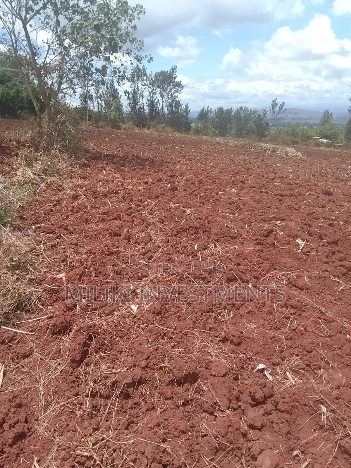 1 Acre on Sale at Kamahuha-Igikiro Area in Kamahuha