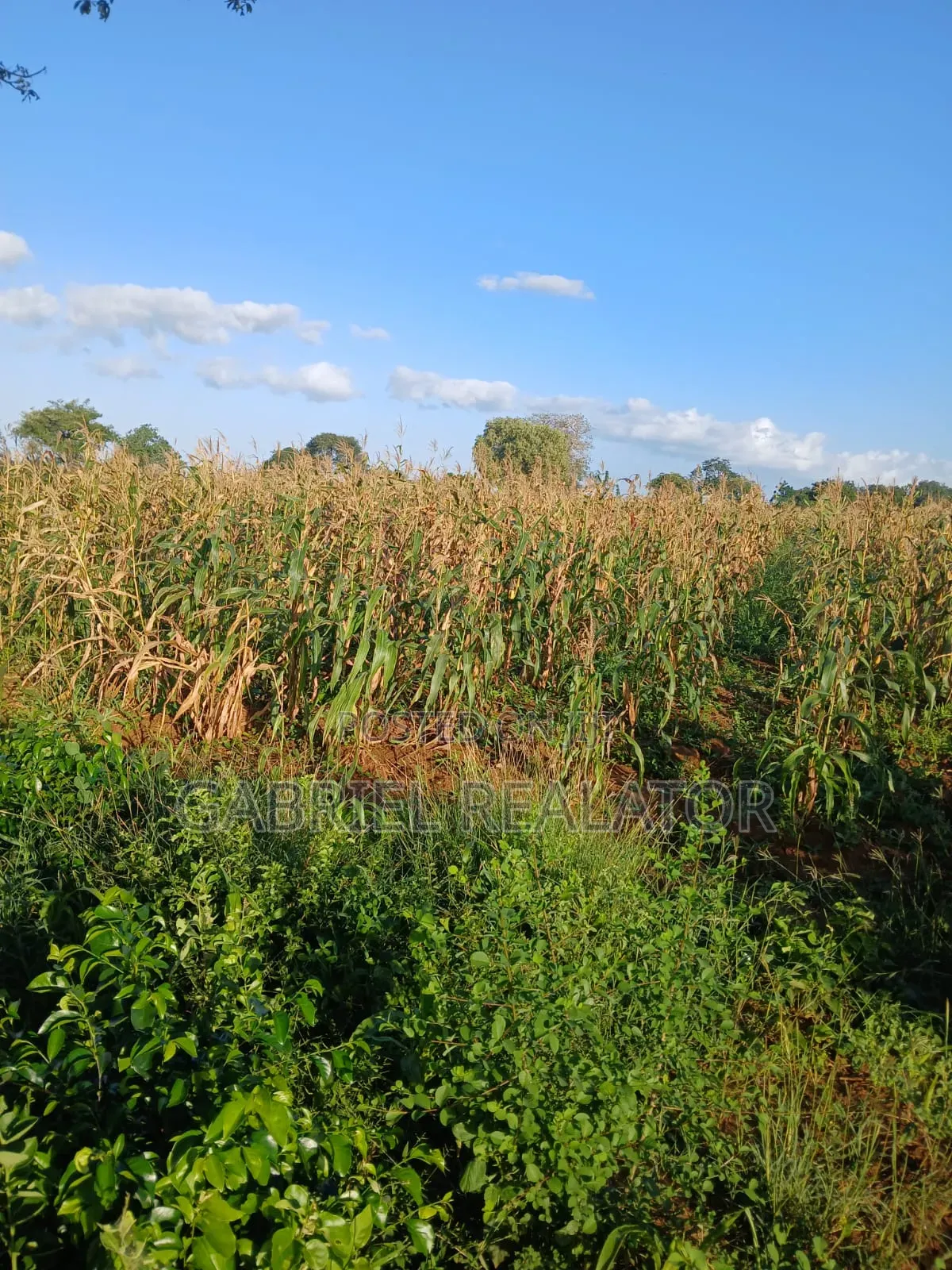 Mavueni Plots in Chasimba