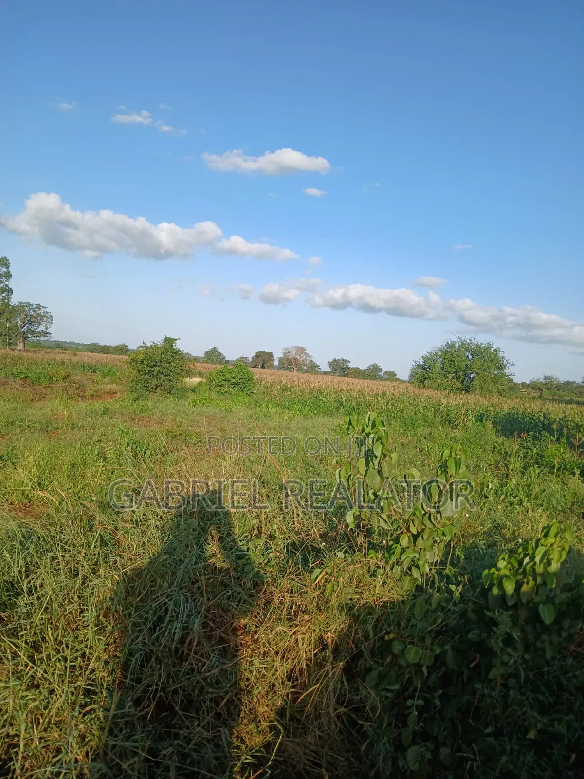 Mavueni Plots in Chasimba