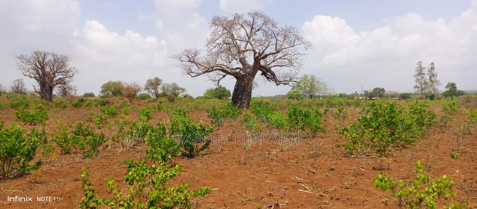 Mavueni Plots in Chasimba