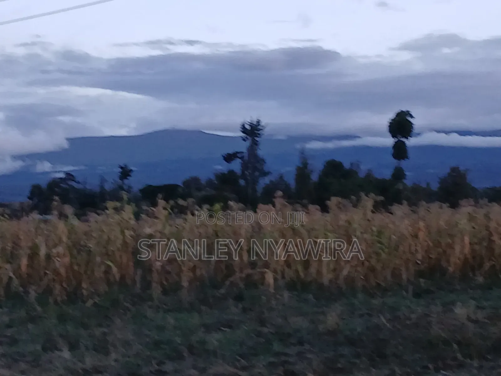 2 Acreas Nanyuki Kalalu in Nanyuki