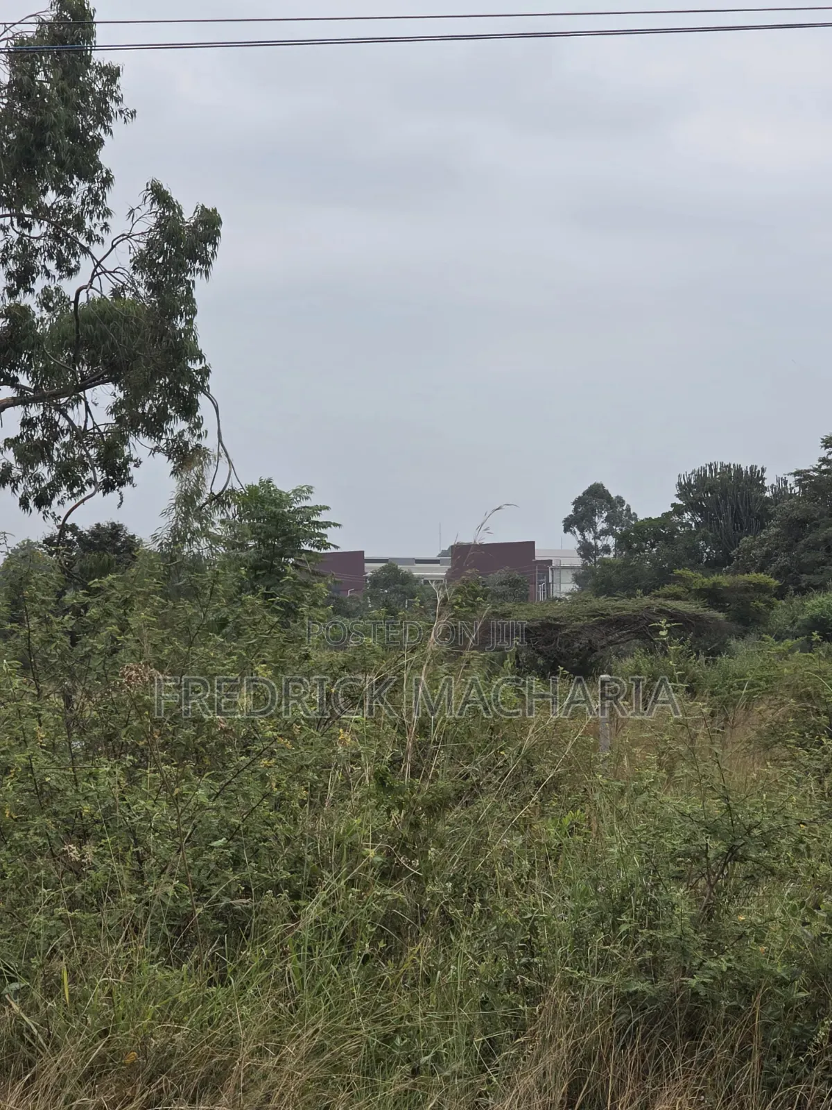 50 Acres Land for Sale Ruiru Mhasibu in Kwa Kairu
