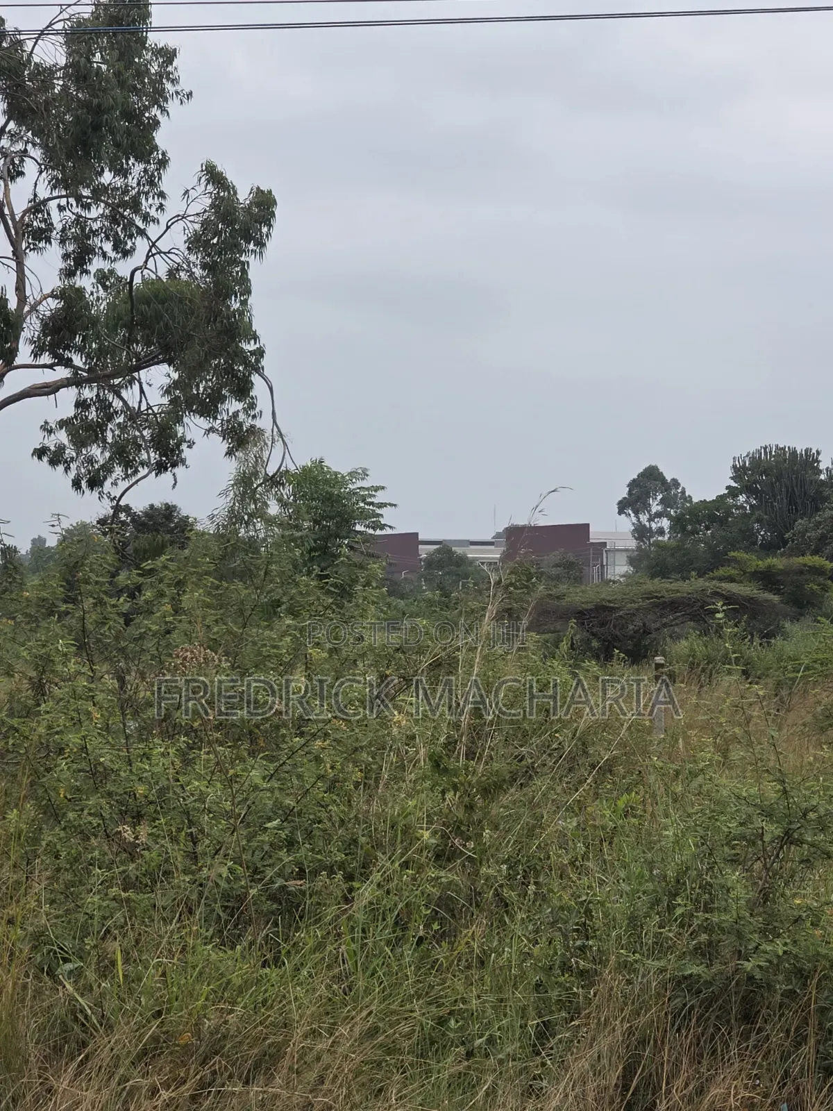 50 Acres Land for Sale Ruiru Mhasibu in Kwa Kairu