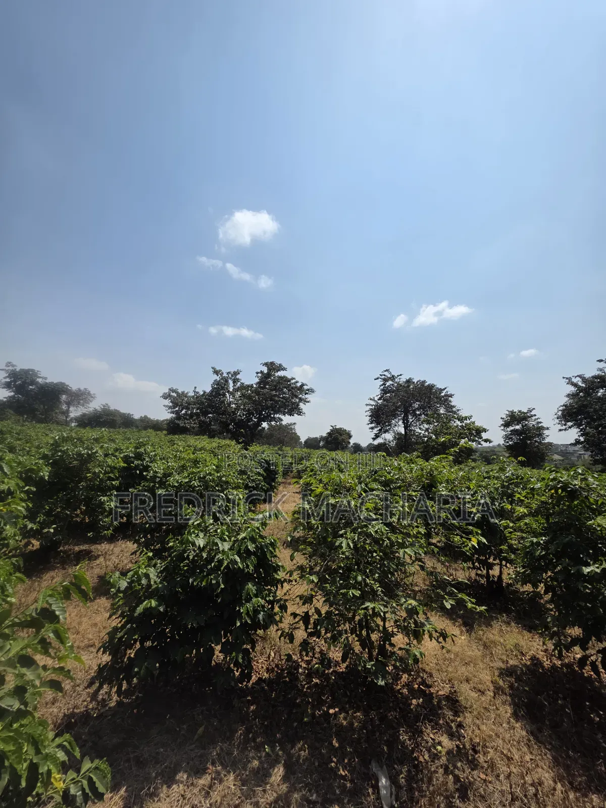 17 1⁄2 Acres Land for Sale Ruiru Town- Tatucity Road in Membley Estate