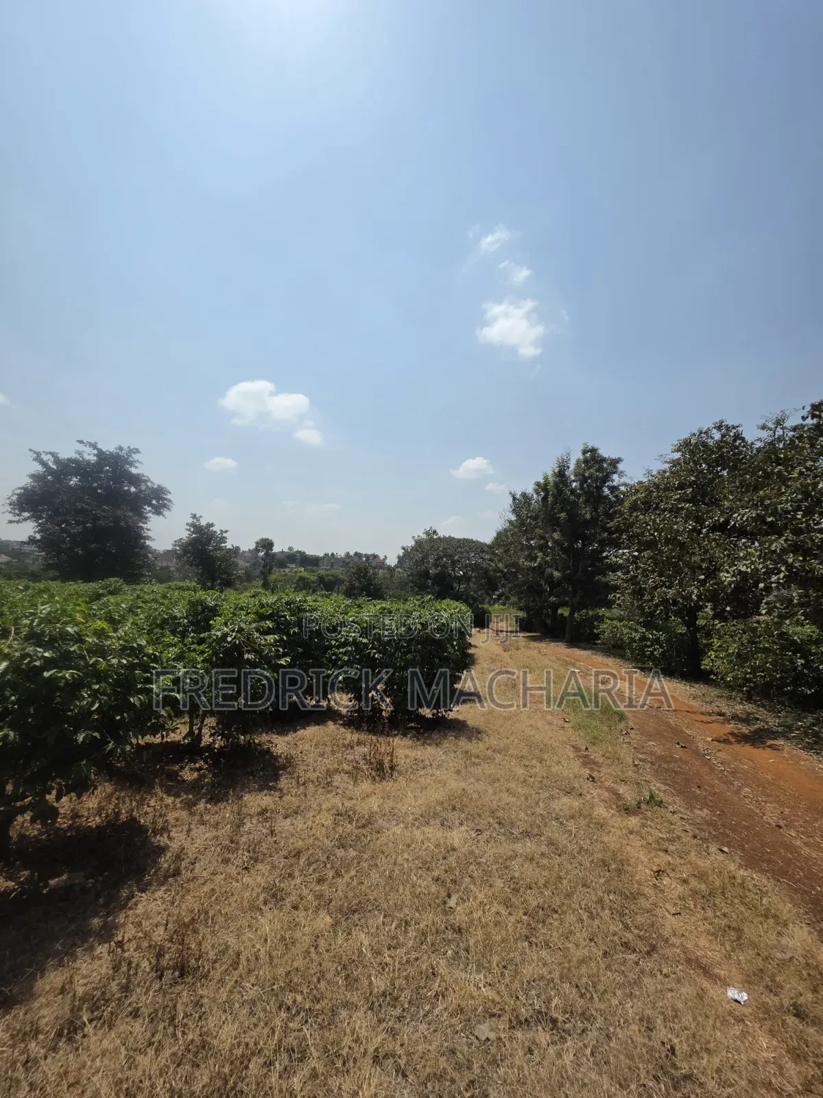 17 1⁄2 Acres Land for Sale Ruiru Town- Tatucity Road in Membley Estate