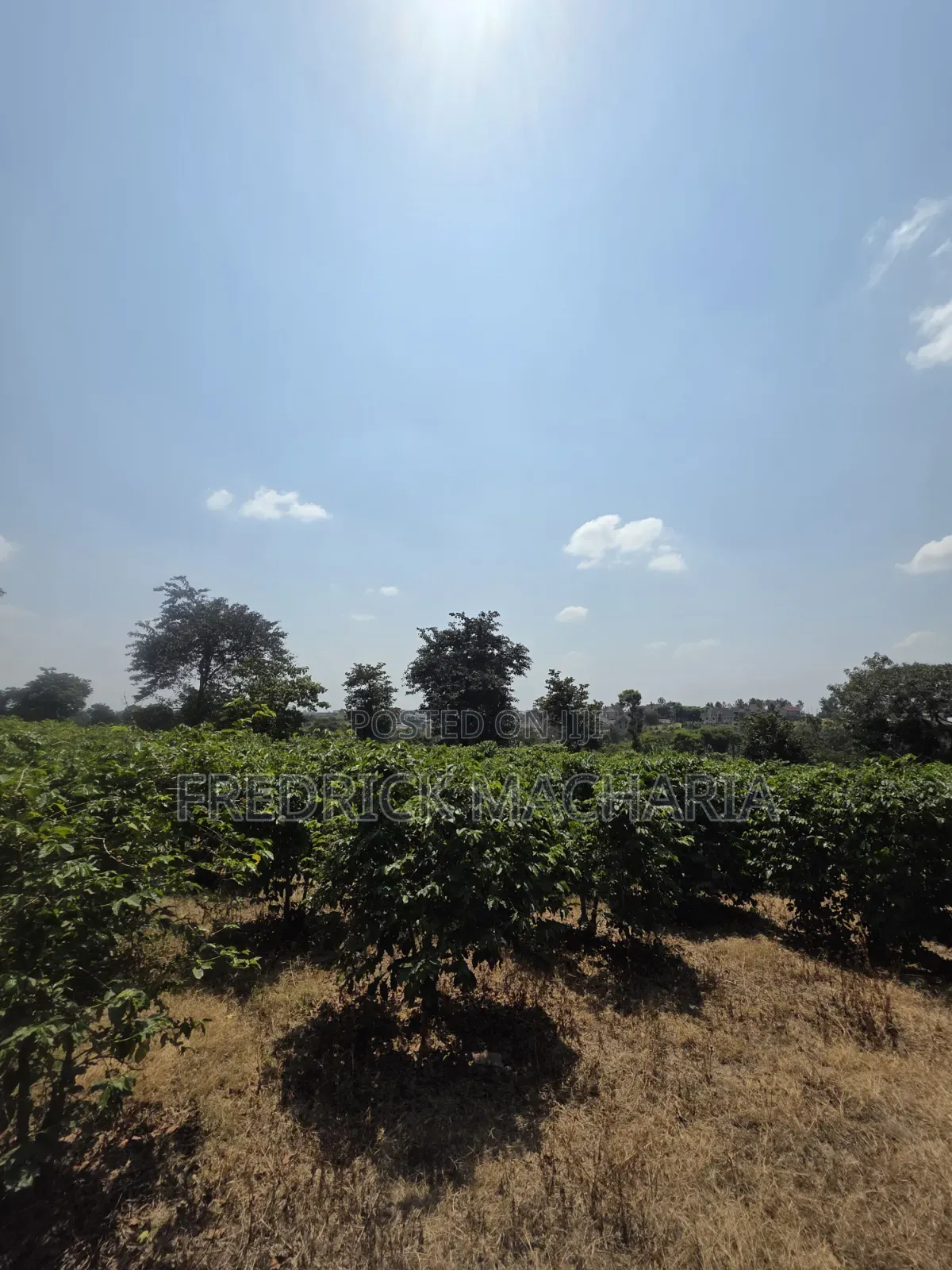 17 1⁄2 Acres Land for Sale Ruiru Town- Tatucity Road in Membley Estate