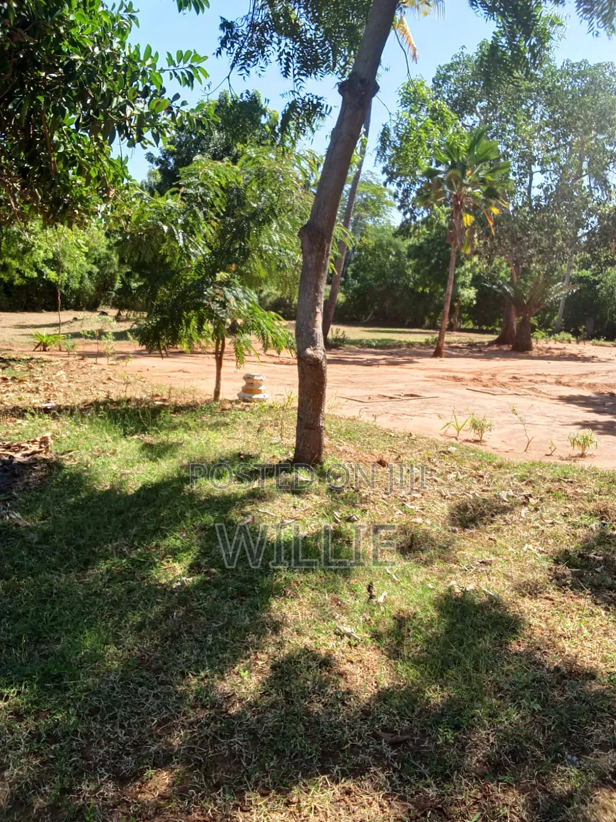 Plot for Sale Shanzu in Shanzu