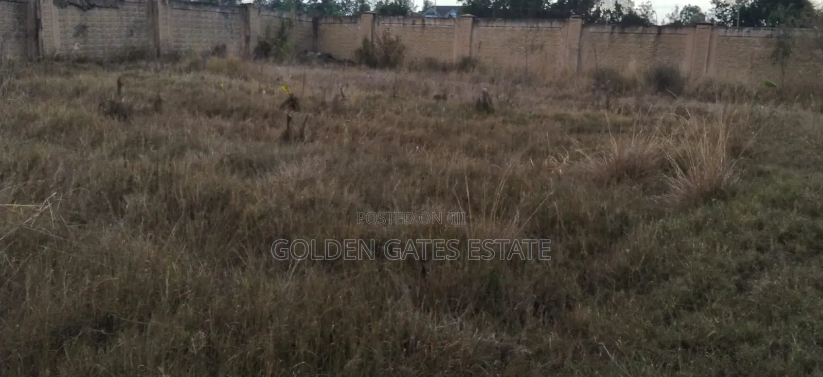 Prime 1⁄2 Acre Land in Heart of Karen, Nairobi | Clean Title in Hardy