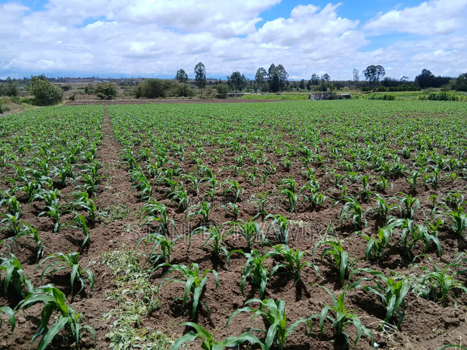 4.5 Acrea Nanyuki Fronting River in Nanyuki