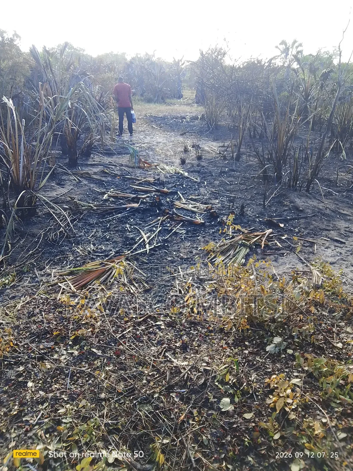 2.5 Acres Forsale in Lamu Near to the Refinery. in Hindi