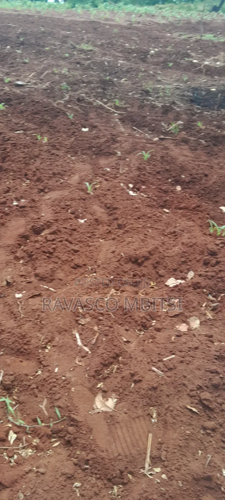 13 Acres Forsale in Kilifi Kakanjuni Sokoke. in Kilifi Town