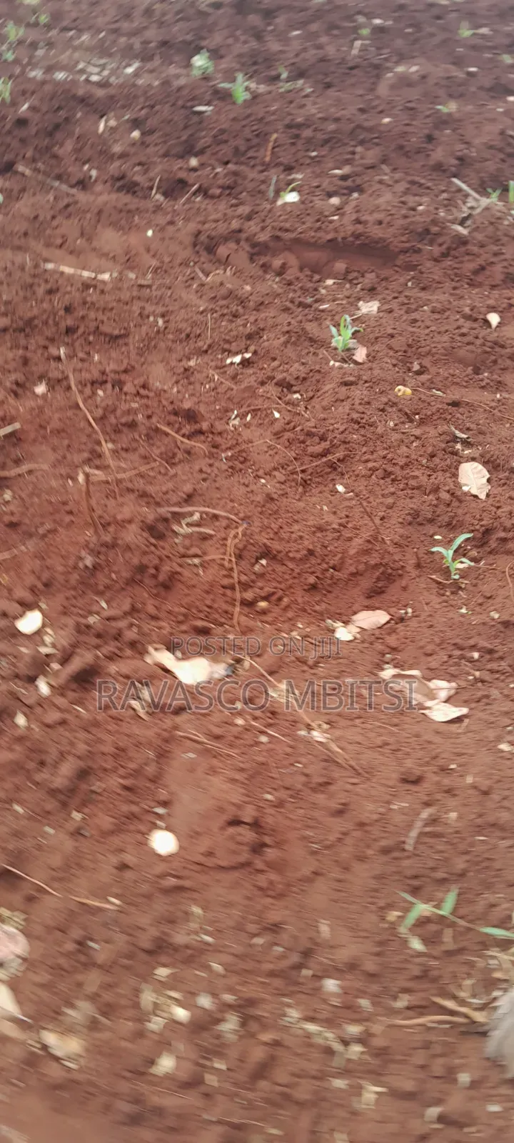 13 Acres Forsale in Kilifi Kakanjuni Sokoke. in Kilifi Town