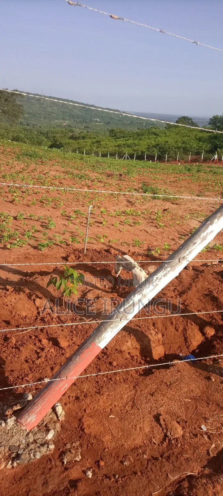 8 Acres of Prime Land for Sale Kabuta, Murang'a County in Mbiri