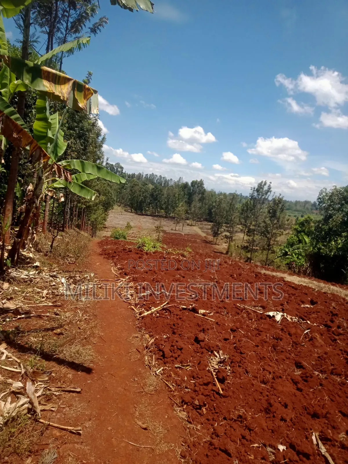 2 Acres on Sale at Maragua-Kaharati in Kimorori/Wempa